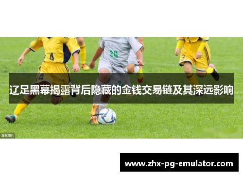 辽足黑幕揭露背后隐藏的金钱交易链及其深远影响